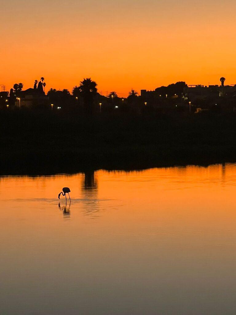 Studio vakantie verhuur